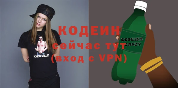 мдпв Весьегонск