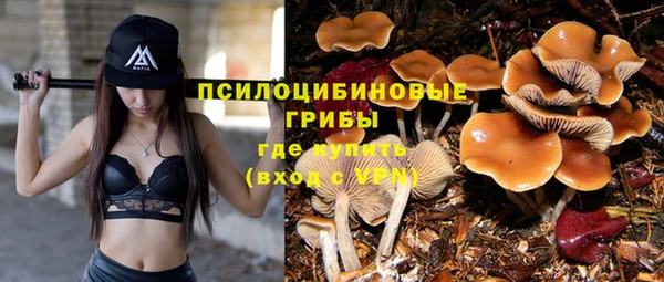 альфа пвп Михайловск