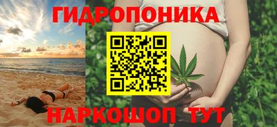 spice Кимры