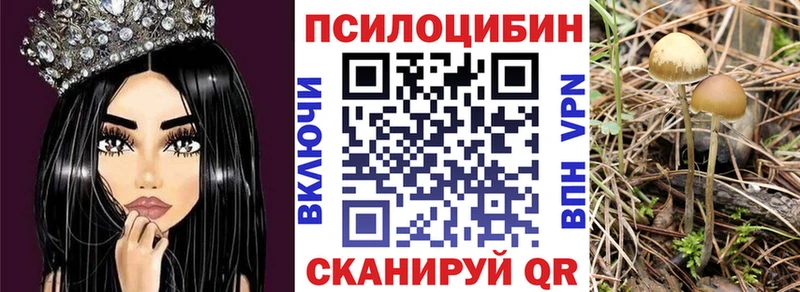 Галлюциногенные грибы прущие грибы  даркнет сайт  Переславль-Залесский 