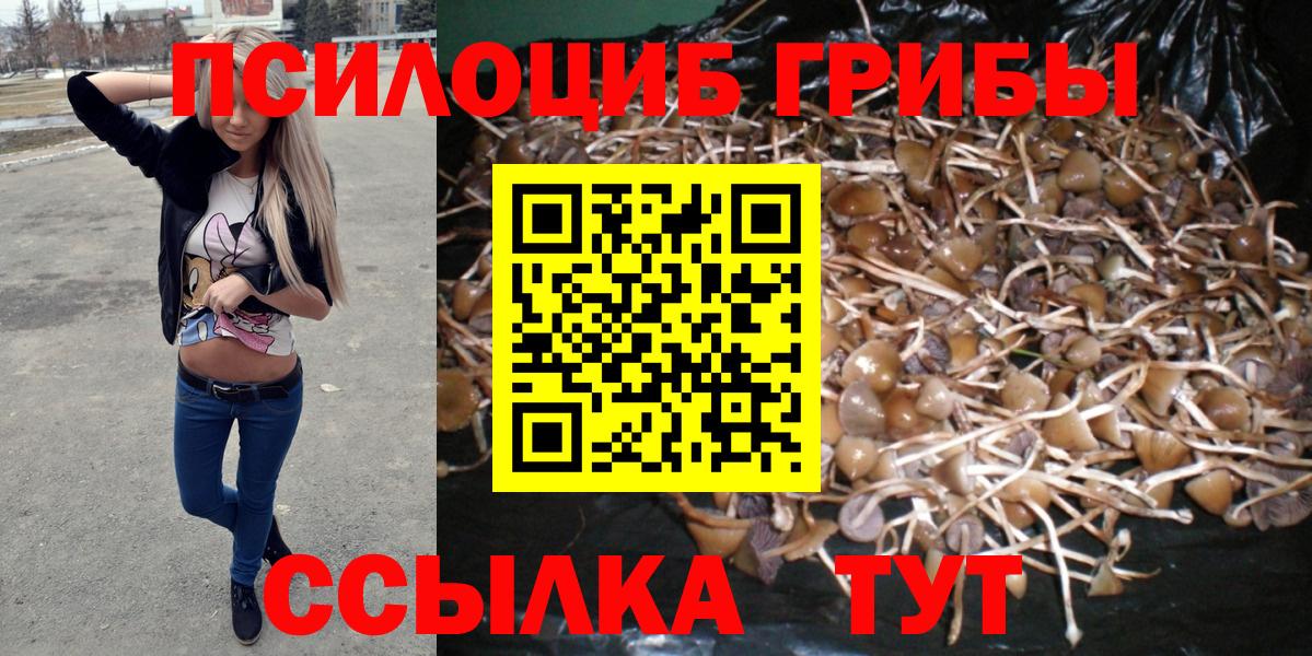 Псилоцибиновые грибы ЛСД Переславль-Залесский