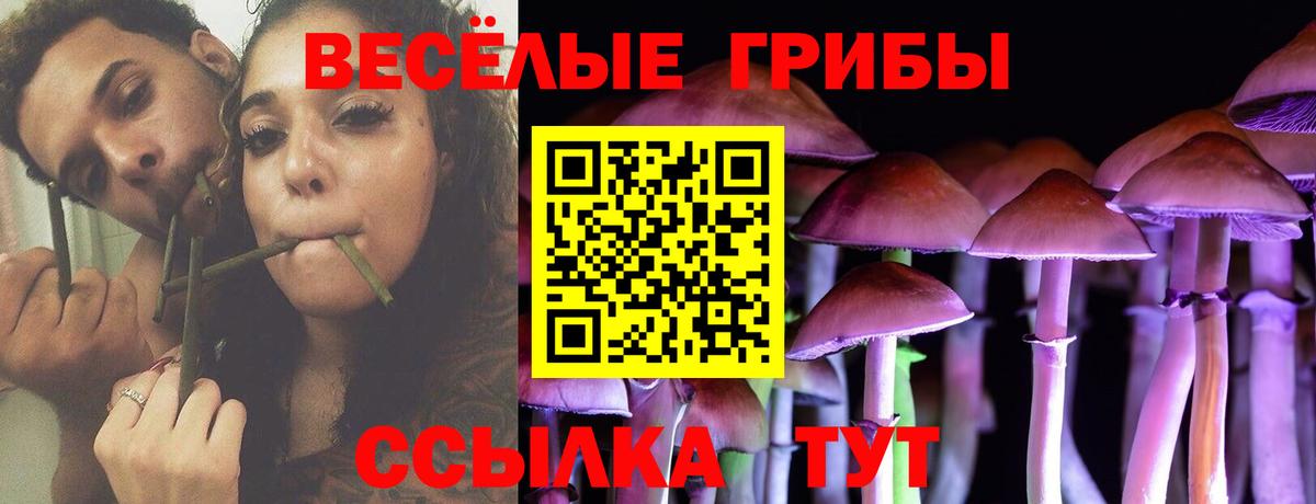 Галлюциногенные грибы мицелий  Переславль-Залесский 