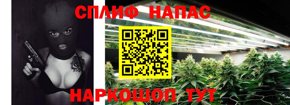 Бошки марихуана план Переславль-Залесский