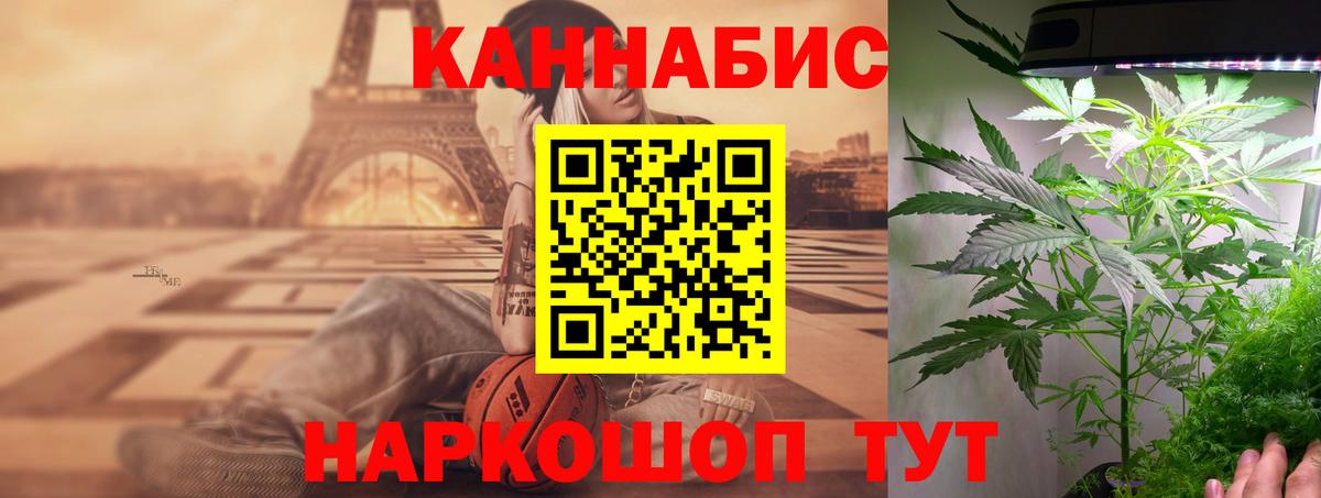 Шишки марихуана Bruce Banner  Переславль-Залесский  МАРИХУАНА гибрид  Шишки марихуана семена  МАРИХУАНА сатива 